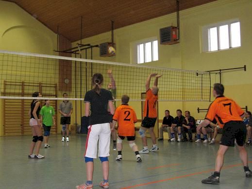 Abteilung Volleyball
