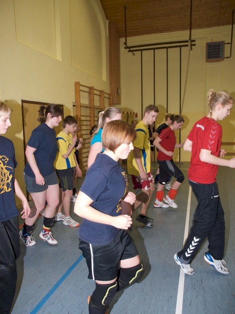 Abteilung Volleyball